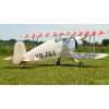 CY model - Bucker Bu-133 Jungmeister (254cm, 20kg, 150cc) 