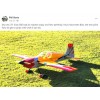 EF - 70 inch Slick 580 EXP V2 - Cub Yellow/Red/Grey