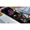 EF - 120 inch Extra 260 - ALL White